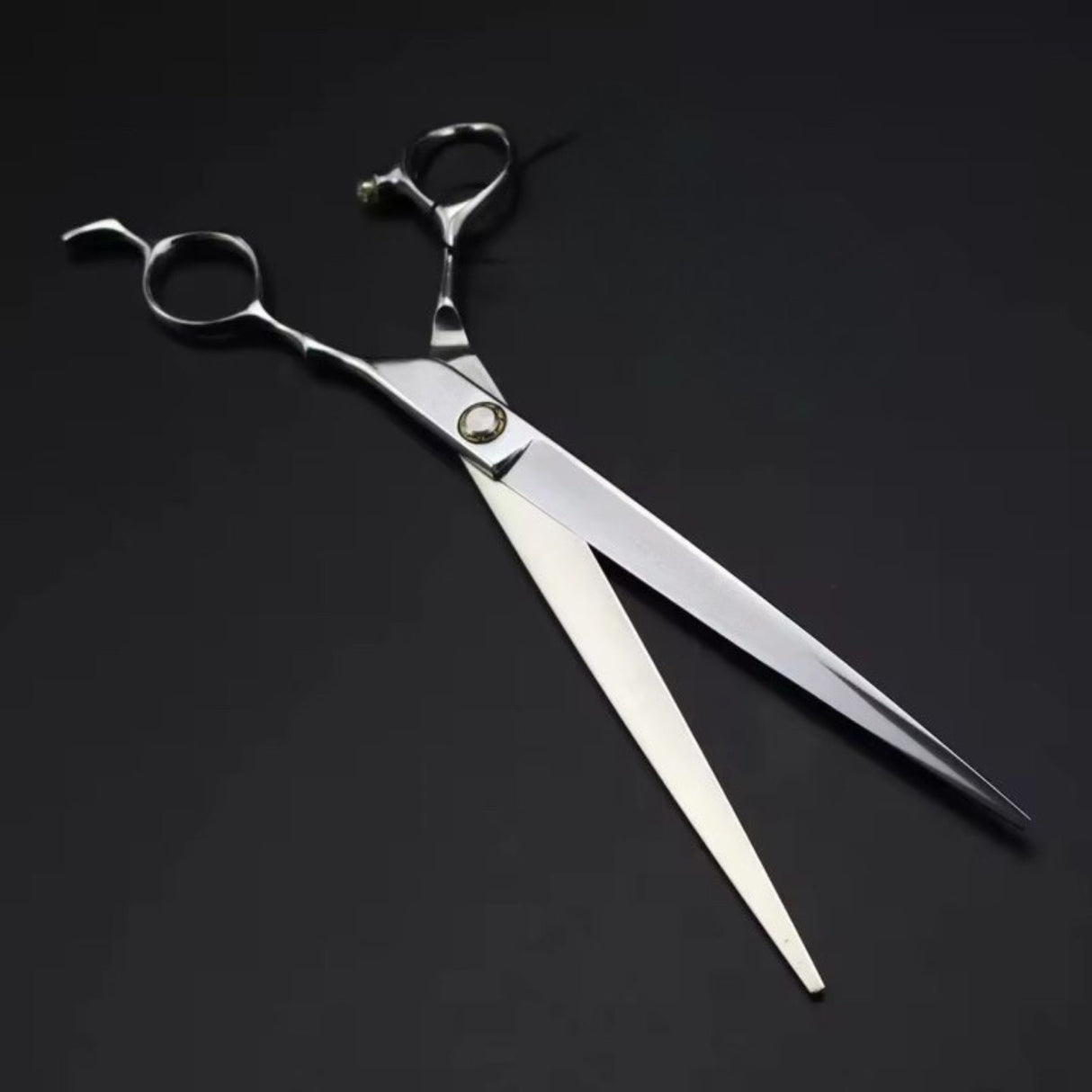 Silver Professional Scissors 9’’