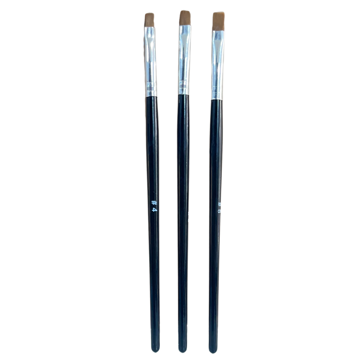 Beauty Makeup Brushes 3 sizes